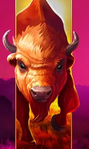 Big Wild Buffalo