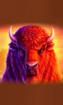 Buffalo 50