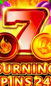 Burning Spins 243