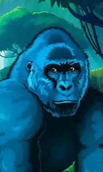 Congo Cash XL
